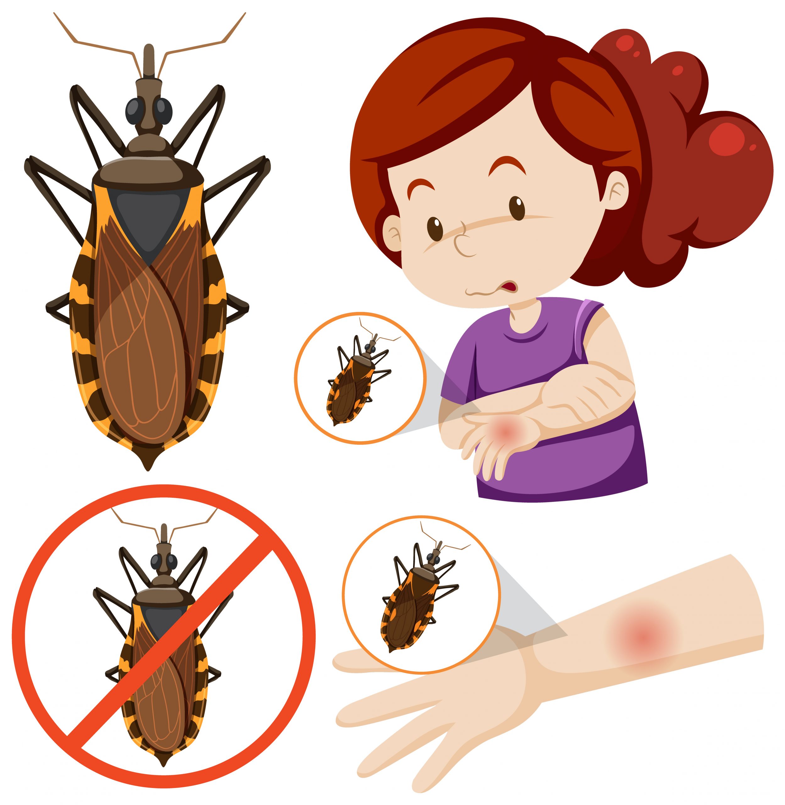 Lire la suite à propos de l’article Infestation de nuisibles dans les armoires électriques : un danger invisible pour les entreprises